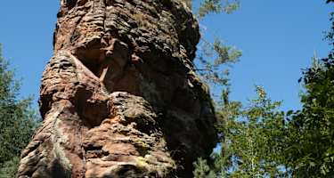 Am Napoleonsteig
