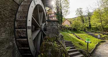 Die Wanderung führt an der historischen Gesslerburg vorbei