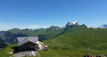 Restaurant Spirstock