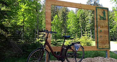 Am Waldblickweg