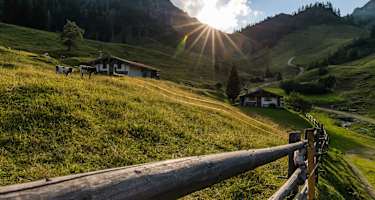 Farnböden Alm, Hochfelln