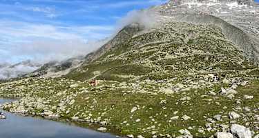 Wanderung zum Pfitscherjoch