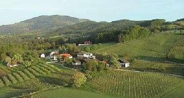 Weinberg