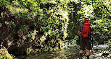 In der Falkenschlucht