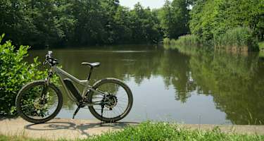 Am Lainzer Teich