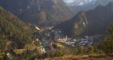 Löwekogel