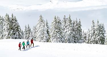 Winterwandern Lenzerheide