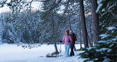 Winterwandern in der Region Seefeld