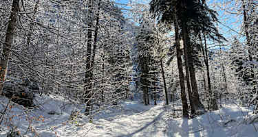 Winterwanderweg Garsella-Buchboden