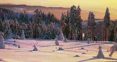 Winter in Hohegeiss