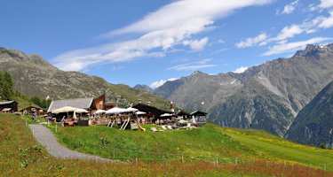 Almwiesen um die Gampe Thaya Hütte