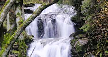 Ein Wasserfall im Naturpark