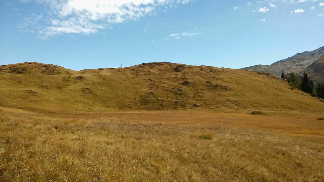 Almflächen im PfeldererTal