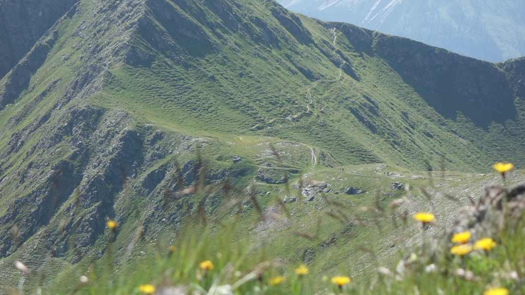 Am Karnischen Höhenweg