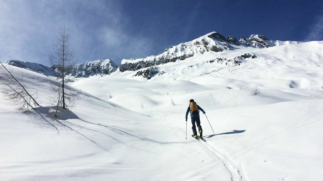 Über die schönen Hänge der Hoferalm geht es aufwärts.