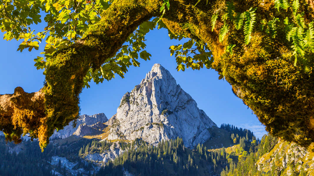 Blick auf die Lechtaler Alpen