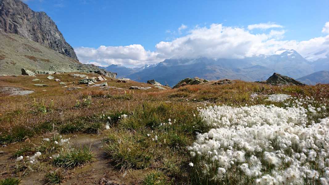 Plaun Grand