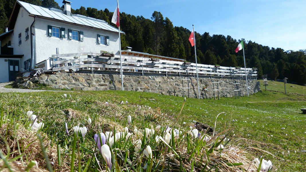Die Klausner Hütte im Frühling