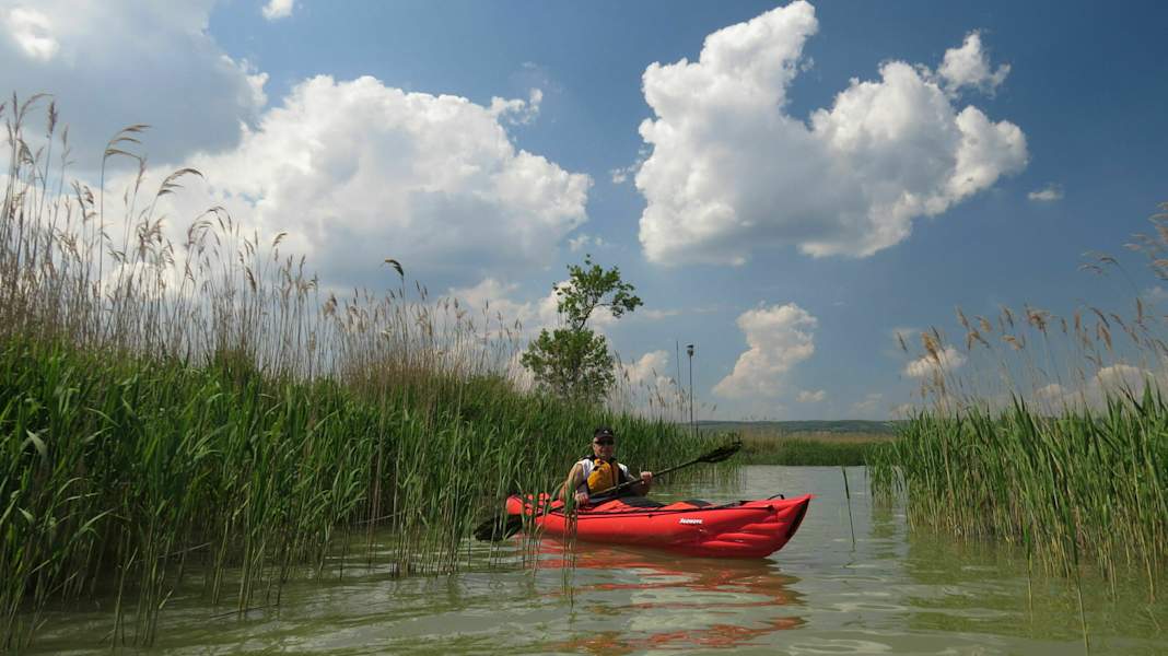 Kanufahren am Neusiedlersee