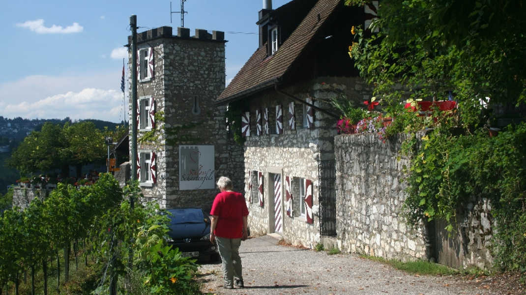 Burg Schartenfels