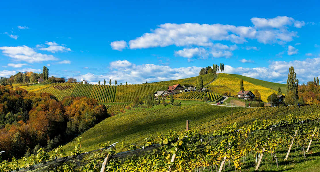 Wunderschöne Weinberge - Südsteirische Weinstraße