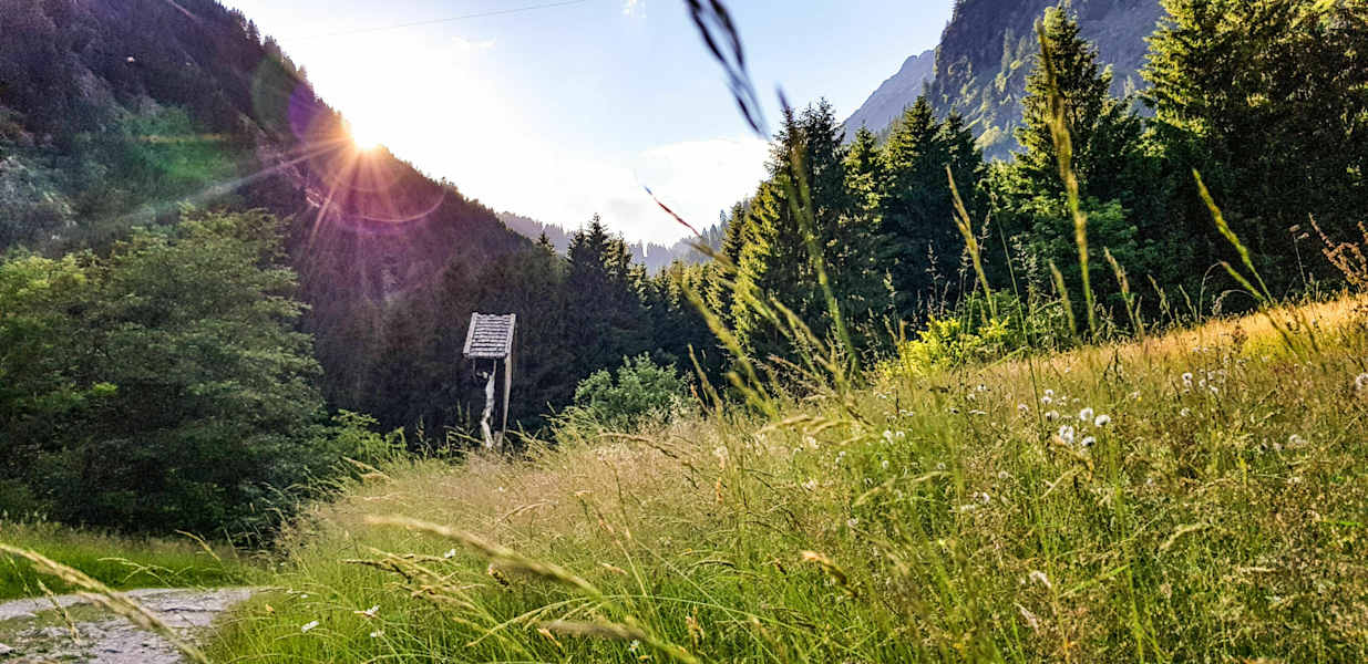 Wanderweg beim Gasthaus Longfall