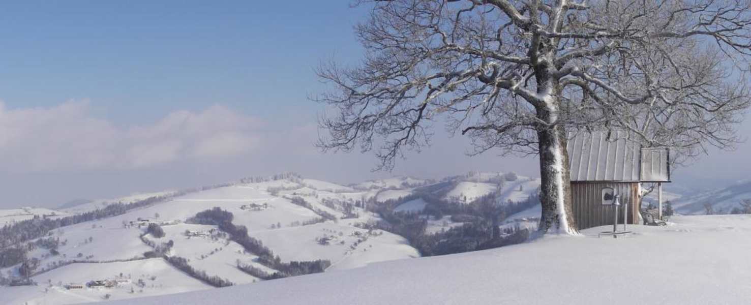 Das Ziel: die Schobersberg-Kapelle