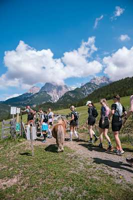 Bergwelten Trailrunning Experience 2026 Hochkönig