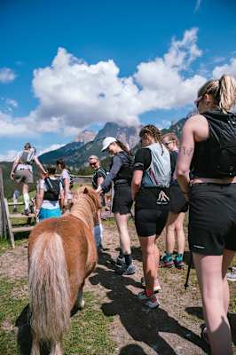 Bergwelten Trailrunning Experience 2026 Hochkönig Lauf Samstag