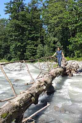 Baumstamm über einen Fluss gelegt im Kaukasus