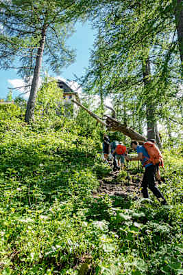 Die letzten Meter zur Zellerhütte