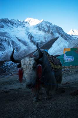 Expedition Manaslu Kammerlander
