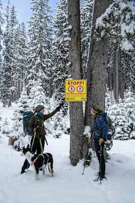 Mit Schneeschuhen durchs Ammergebirge