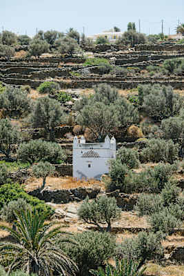 eholzknecht-240601-bergwelten-reisereportage_sifnos-0645_si202408300118