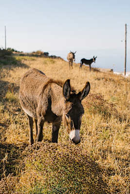 eholzknecht-240601-bergwelten-reisereportage_sifnos-1124_si202408300097-1737648434