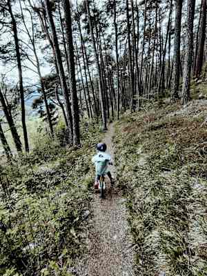 Mountainbike