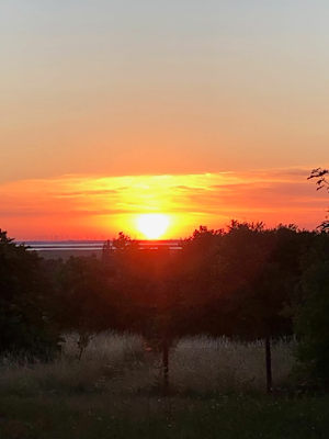 Burgenland Extrem Sommer 2021
