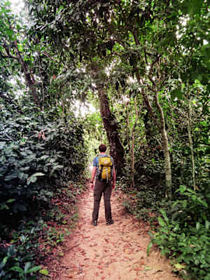 Nationalpark Cahuita Costa Rica