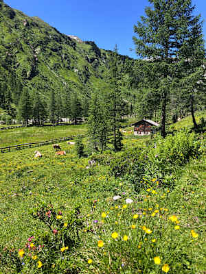 Wandertipp: Dorfertal nationalpark Hohe Tauern