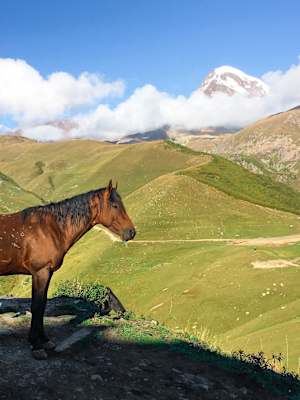 Reise - Wandern in Georgien
