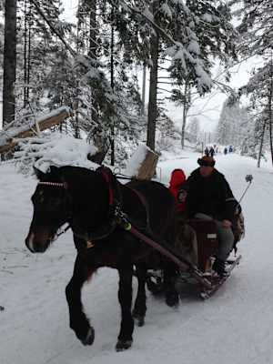 Zakopane Tatra
