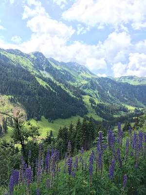 Bergwelten Hüttenwoche Saalbach Hinterglemm