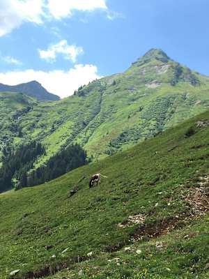 Bergwelten Hüttenwoche Saalbach Hinterglemm