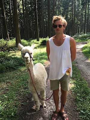 Alpakas Wandern