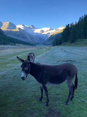 Val Roseg