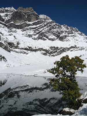 Oberblegisee und Vrenelisgärtli