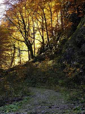 Nationalpark Gesäuse „Indian Summer“