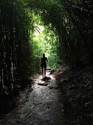 Wandern auf Hawaii