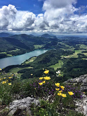 Schober in Salzburg