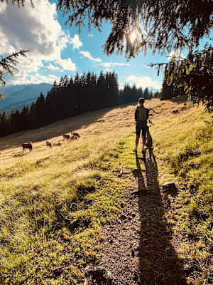 Gravelbike Leogang
